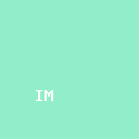 ima.copilot