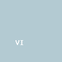 Vizard