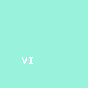 Vizcom