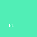 Bloome